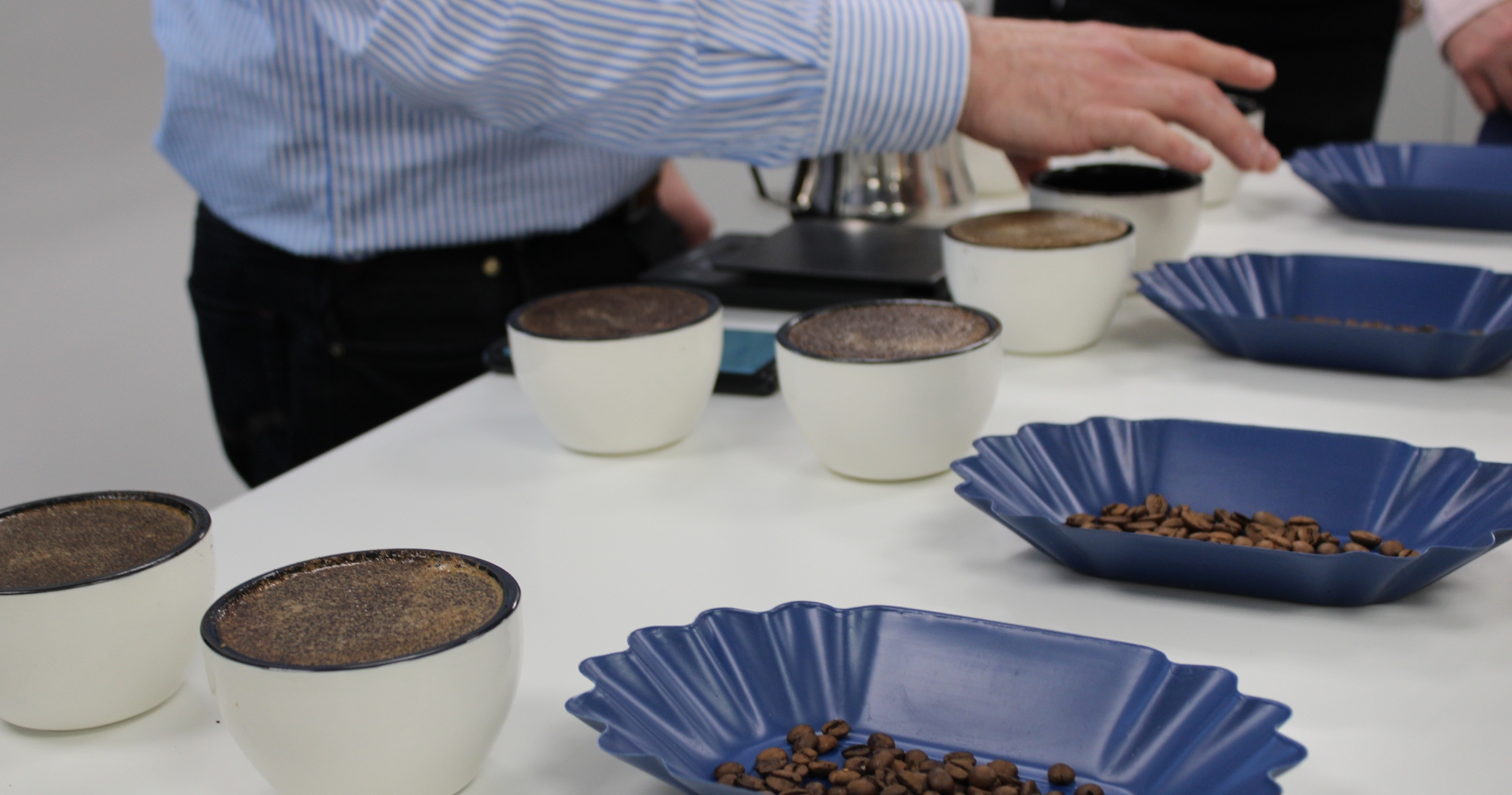What's the Specialty Coffee Association Flavour Wheel? FreshGround
