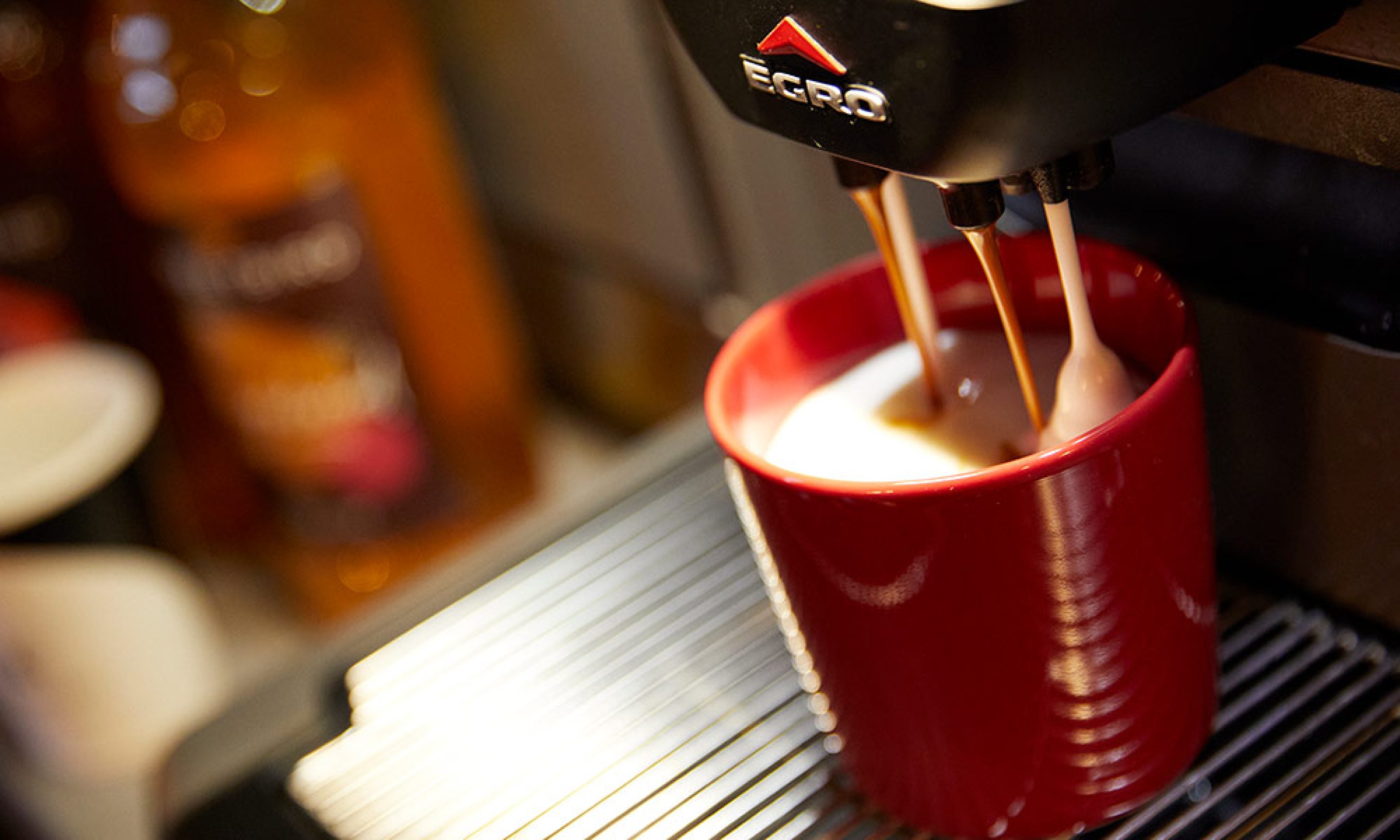 How does a bean to cup coffee machine work? FreshGround