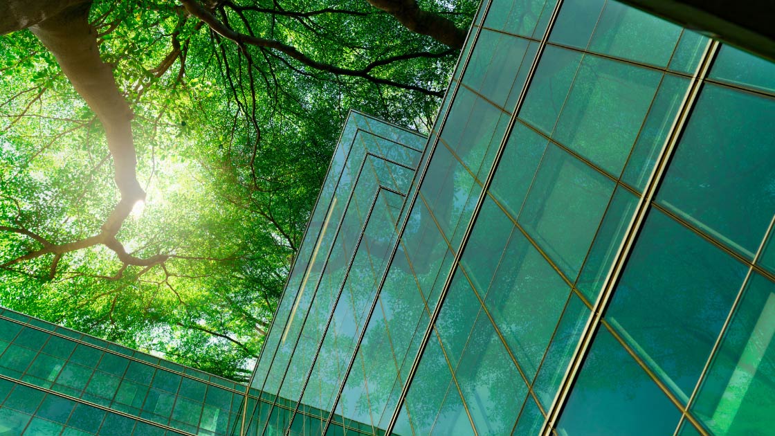 glass building in forest