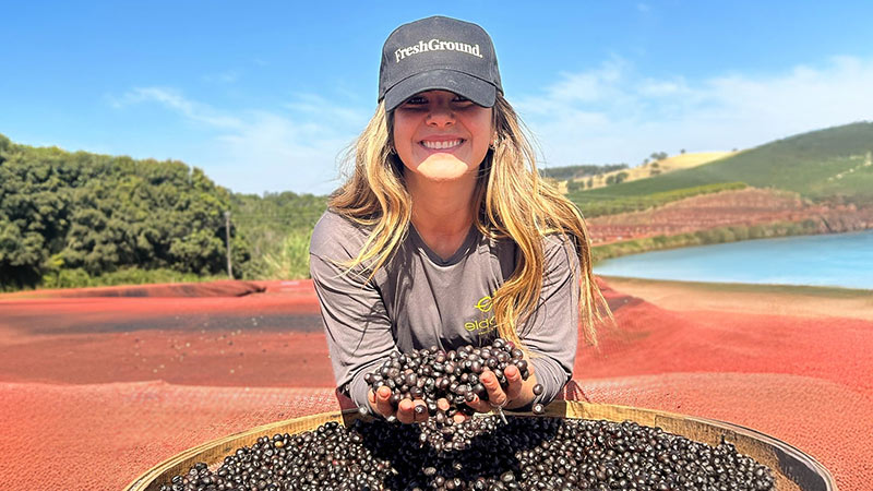 Coffee cherries on the farm